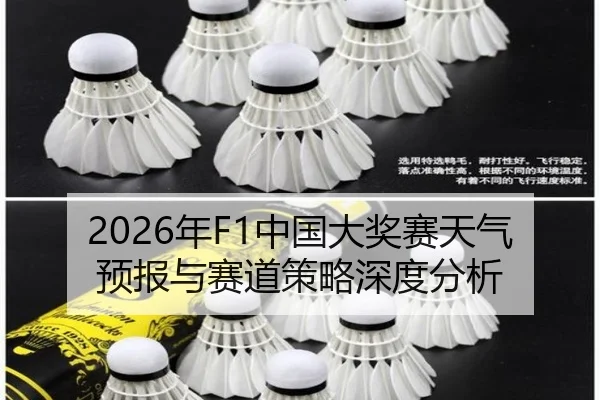 nian-zhong-guo-da-jiang-sai-tian-qi-yu-bao-yu-sai-dao-ce-lve-shen-du-fen-xi-2-392.jpg